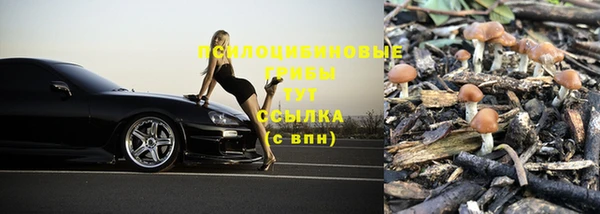 прущая мука Надым