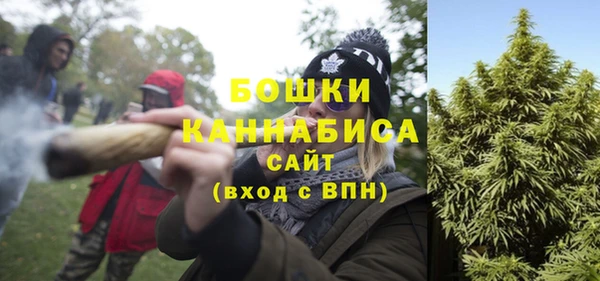 ГАЛЛЮЦИНОГЕННЫЕ ГРИБЫ Навашино
