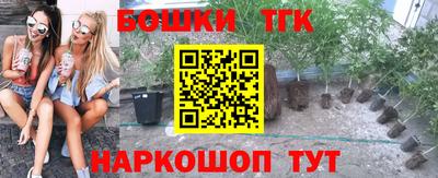 дмт Гусев