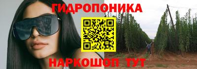 гашик Берёзовский