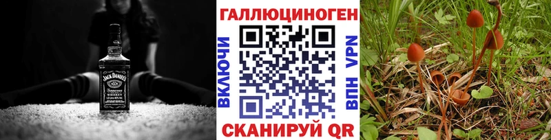 Галлюциногенные грибы MAGIC MUSHROOMS  хочу наркоту  Менделеевск 