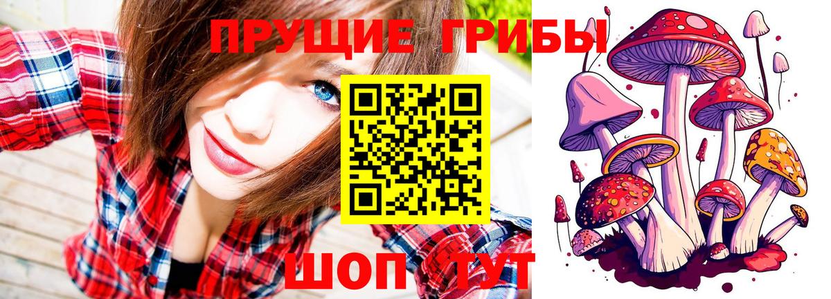 Псилоцибиновые грибы Magic Shrooms Менделеевск